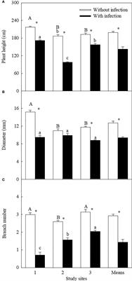 The native stem holoparasitic Cuscuta japonica suppresses the invasive plant Ambrosia trifida and related mechanisms in different light conditions in northeast China